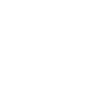 instagram-icon